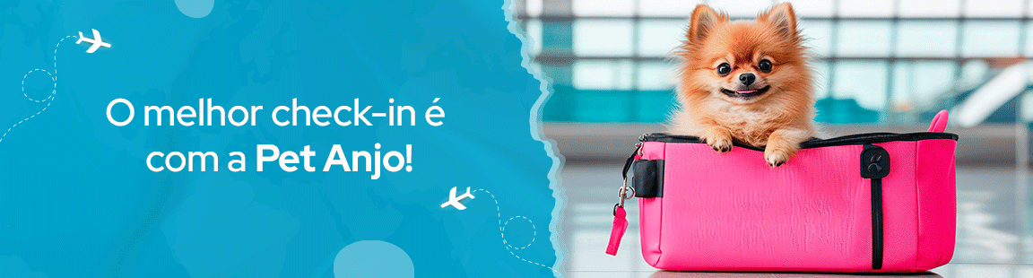 Bem-vinda Pet Anjo!