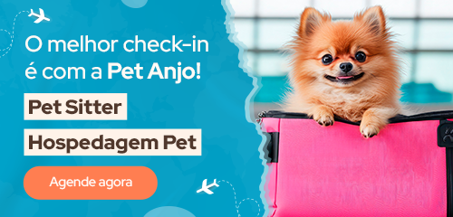 Bem-vinda Pet Anjo!